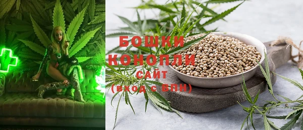PSILOCYBIN Каменногорск