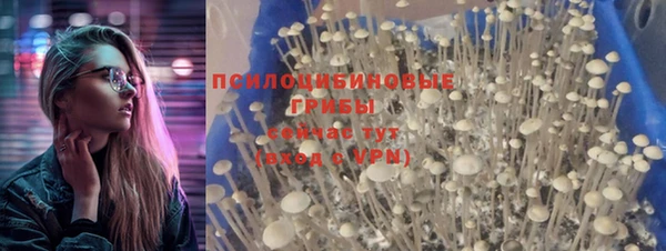 героин Инсар