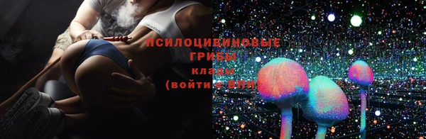 мяу мяу кристалл Иннополис