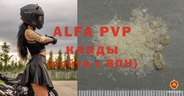 мяу мяу кристалл Иннополис