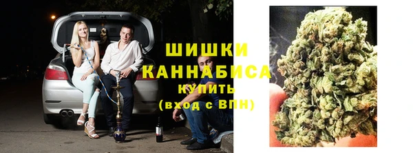 мяу мяу кристалл Иннополис