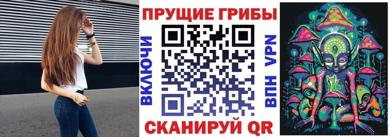 Псилоцибиновые грибы MAGIC MUSHROOMS Купить Калачинск